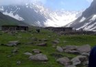 The Tragic Tale of Hill Kaka