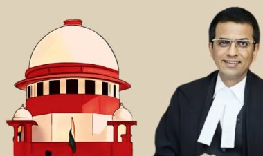 Chief Justice Rebukes Lawyers in Supreme Court